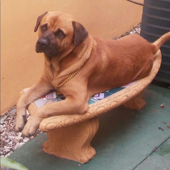 Meet your Posher, yamy - Picture 5 of 10